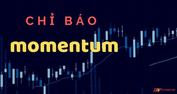 chi-bao-momentum