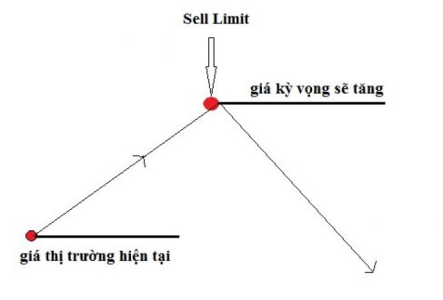lenh cho sell limit la gi 1 1