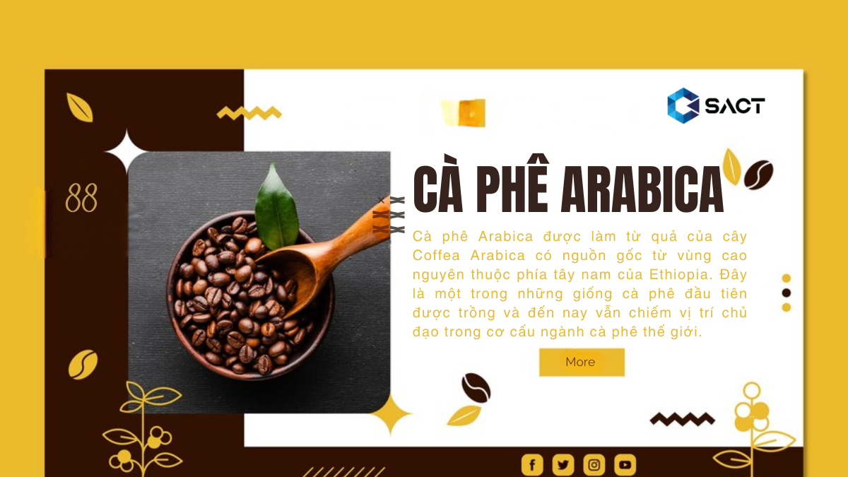 Ca-phe-Arabica-la-gi