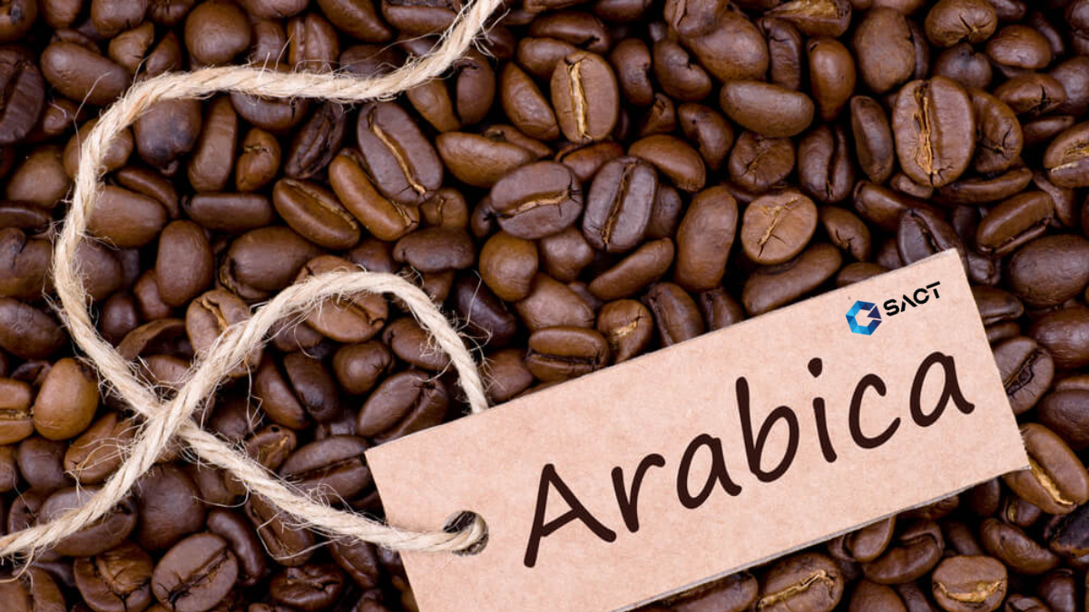 Ly-do-nen-dau-tu-ca-phe-Arabica