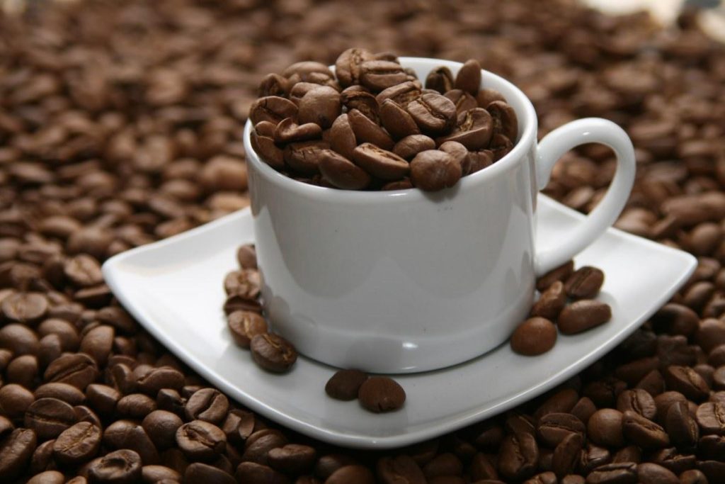 đầu tư cà phê arabica