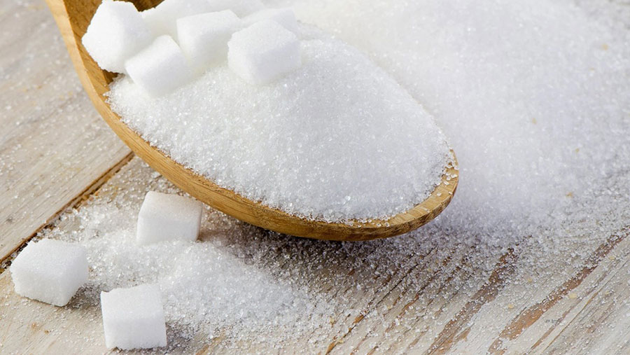 đầu tư giao dịch đường trắng là gì