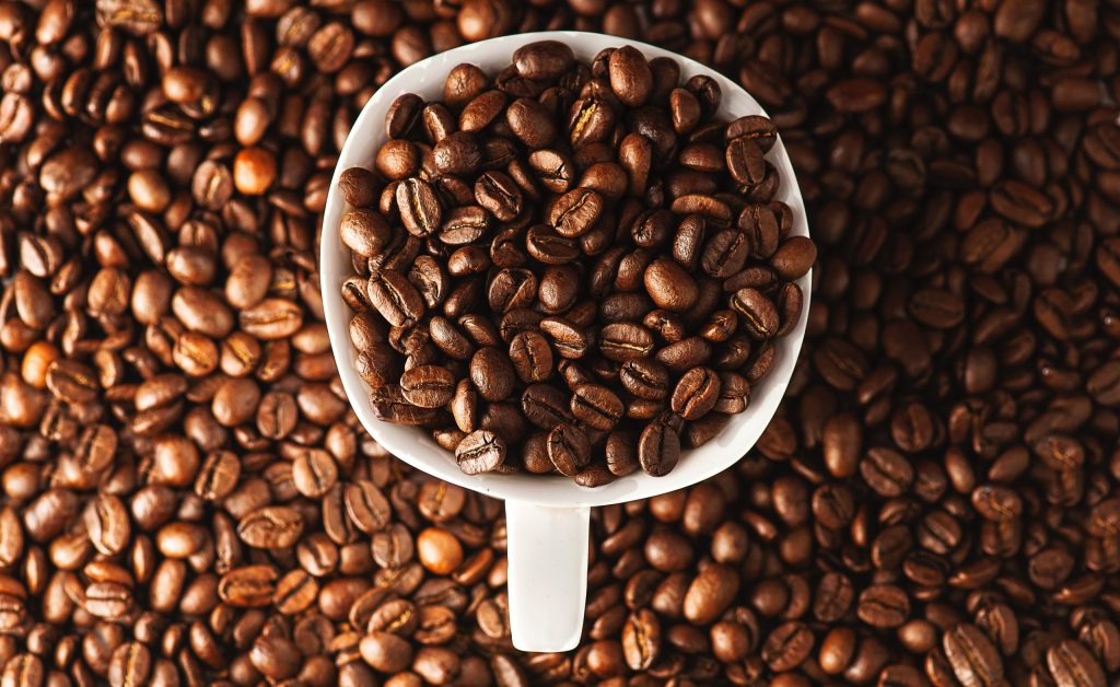 hướng dẫn đầu tư cà phê Arabica