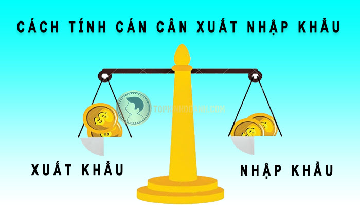 tinh-can-can-xuat-nhap-khau-nhu-the-nao