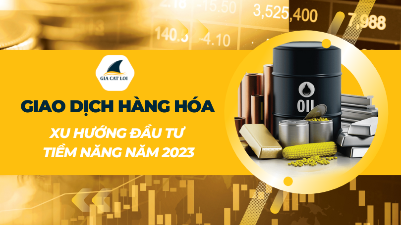 Gia Cát Lợi là một trong những đơn vị đầu tư hàng hóa tại Tphcm uy tín