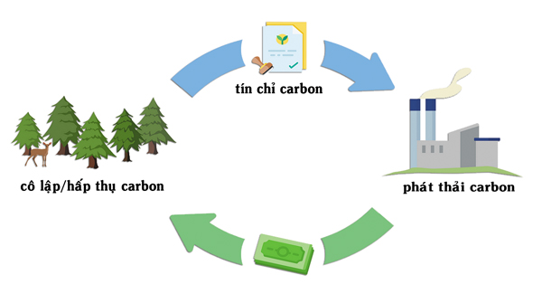 Tín chỉ Carbon là gì?