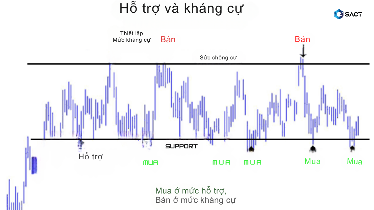 Ho-tro-va-khang-cu-trong-giao-dich-bach-kim