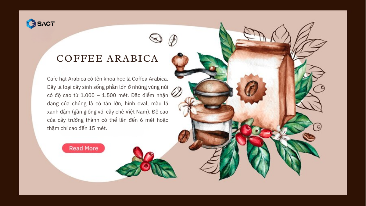 Ca-phe-Arabica-la-gi