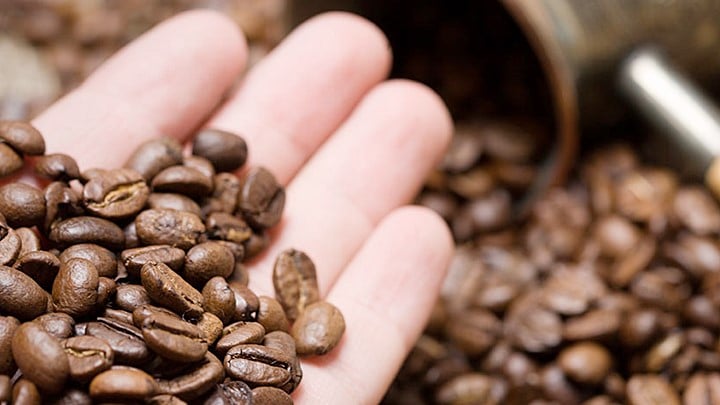 Giá cà phê Arabica trực tuyến