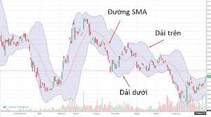 Momentum là gì? Cách sử dụng chỉ báo Momentum hiệu quả