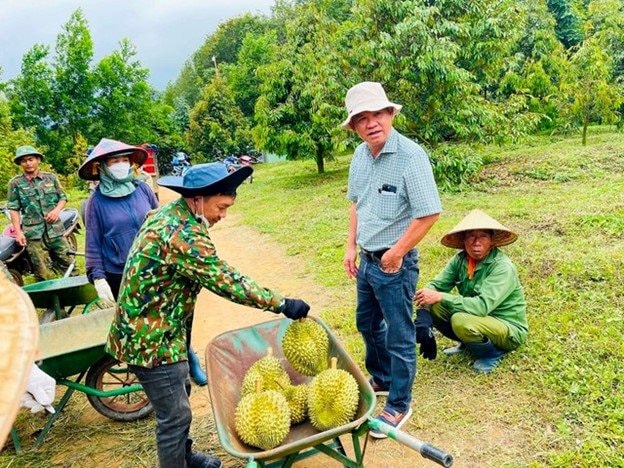 Diện tích 1.6 triệu hectare trồng ​sầu‍ riêng,⁢ có khả năng thu hoạch hàng tấn.